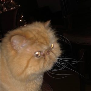 Meet your Posher, Jared